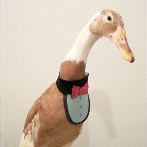 Meet your Posher, Krist